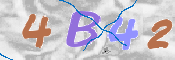 CAPTCHA-Bild
