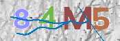 CAPTCHA-Bild